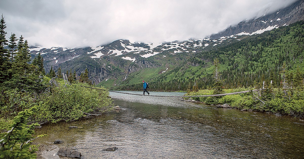 Groups object to Gunsight Lake fish project Daily Inter Lake