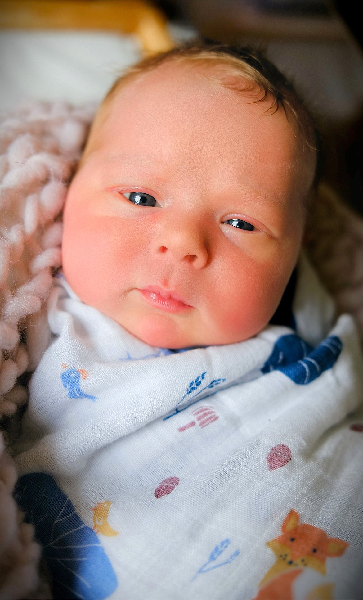 Magnus Arkyn-Lyra Johnson was born July 22 at St. Luke Community Healthcare New Beginnings Birth Center in Ronan to Jarin Johnson and Drew Davis of Polson. He measured an even 8 lbs. and 20 inches long. Paternal grandparents are Mike Johnson and Brenda Hempelmann of Polson and maternal grandparents are Tom and O-Na Davis of Ronan.