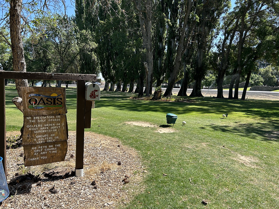 Oasis Golf Course offers new golfers an easier, shorter course to practice on while they learn the game and perfect their swings.