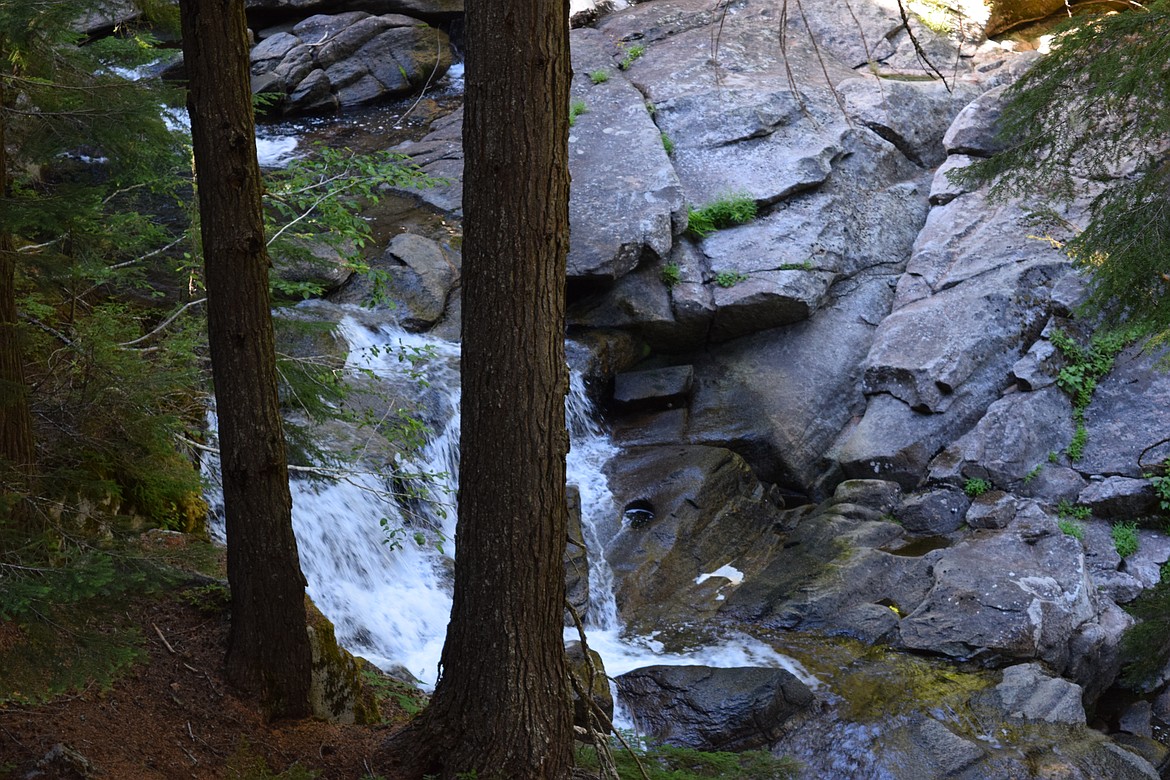 Much of the Bygone Byways Interpretive Trail overlooks Nason Creek with several small waterfalls and nooks and crannies. The water draws wildlife and keeps the area lush and green, even in mid-summer.