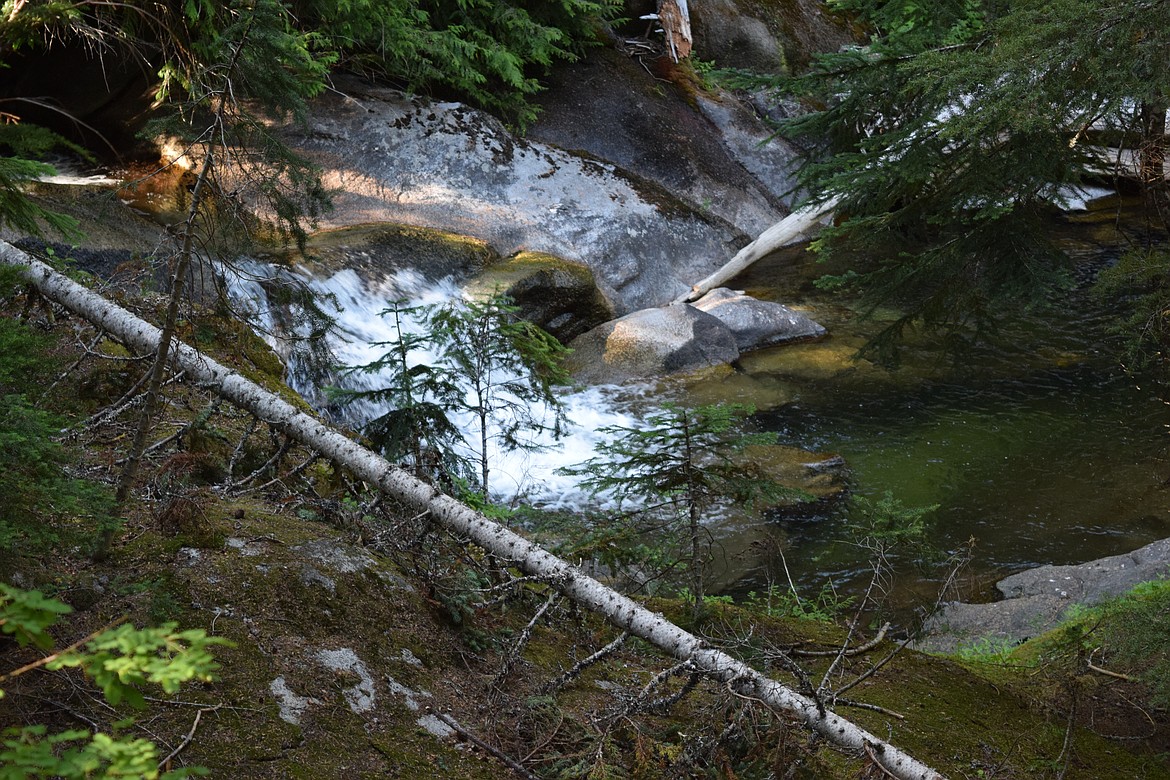 Water pools dot Nason Creek along its path beside the trailway. Hikers may want to bring insect repellent to avoid run-ins with mosquitos.