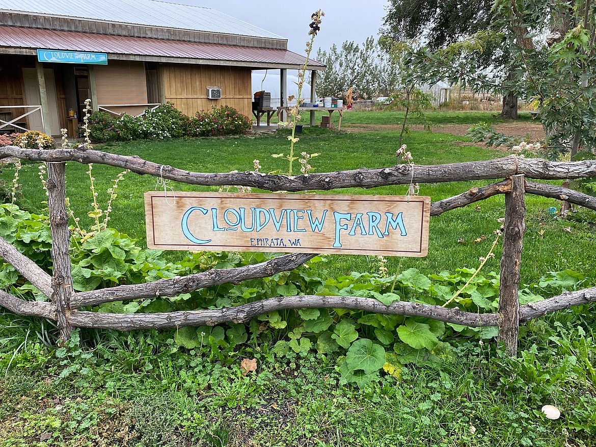 Cloudview Farm is a non-profit educational farm located in Ephrata at 17305 Frey Road. They will be hosting their 2nd annual Summer Sunflower Fest this Saturday from 10 a.m. to 1 p.m. Admission is $5 for adults and free for children.