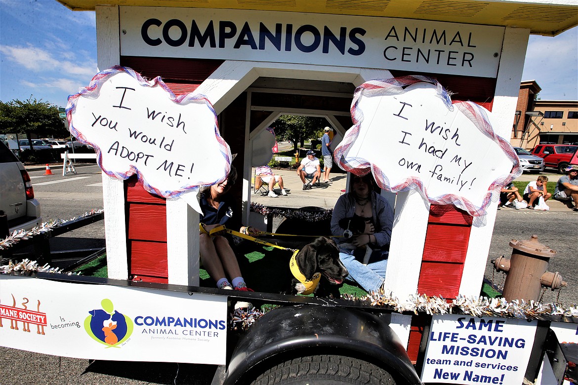 A dog up for adoption at Companions Animal Center enjoys a ride in the Hayden Days parade.