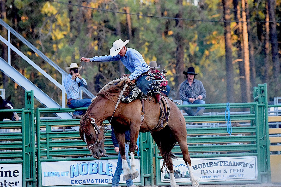 Sydney, Australia's Will Reynolds rode "Rodin Letter" Saturday evening in the saddle bronc event at the Kootenai River Stampede. (Scott Shindledecker/The Western News)