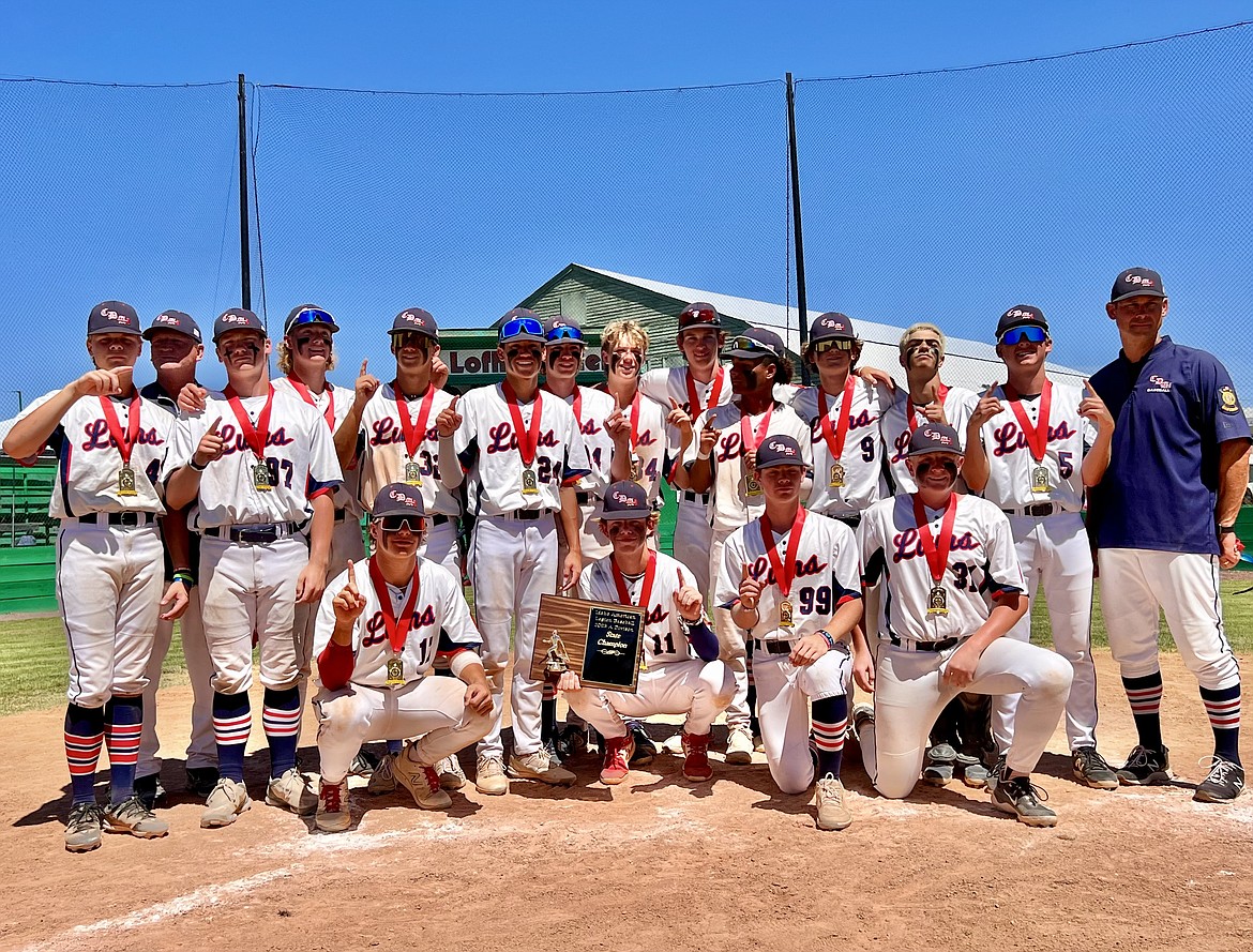 Media Little League romps, takes state title