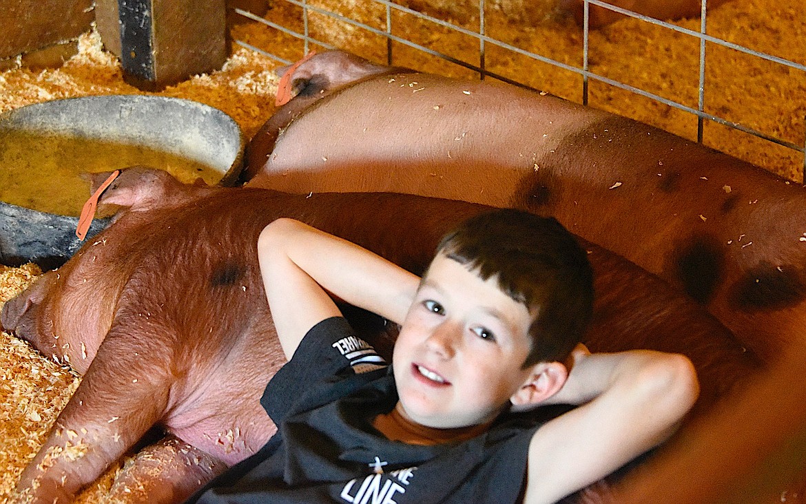 Pistols & Ponytails 4-Her Diezel Rose and his pig take a rest after the swine show at the Lake County Fair. (Berl Tiskus/Leader)