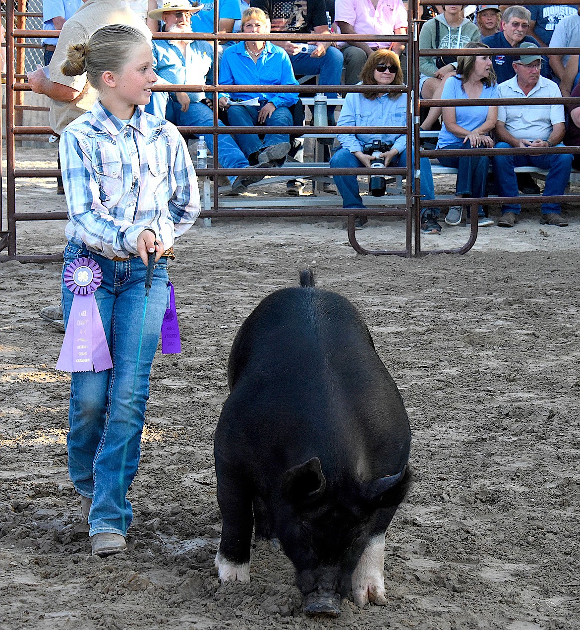 4-H member Kestin Marmon steers her black pig around the auction ring. (Berl Tiskus/Leader)