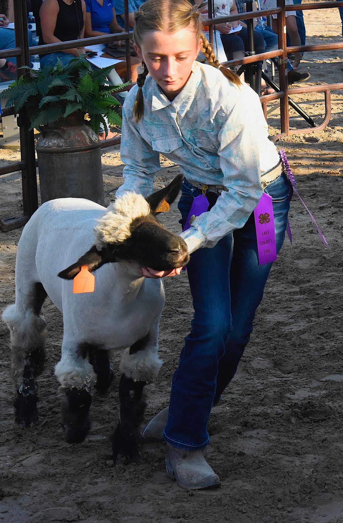 Eden Mitchell shows her lamb at the Lake County Fair. (Berl Tiskus/Leader)