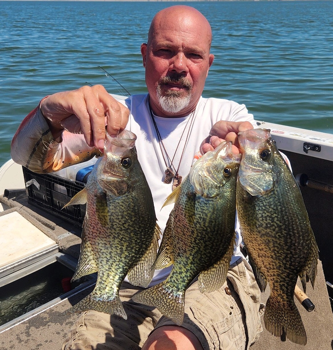 Bass fishing near the MarDon Resort has been productive.