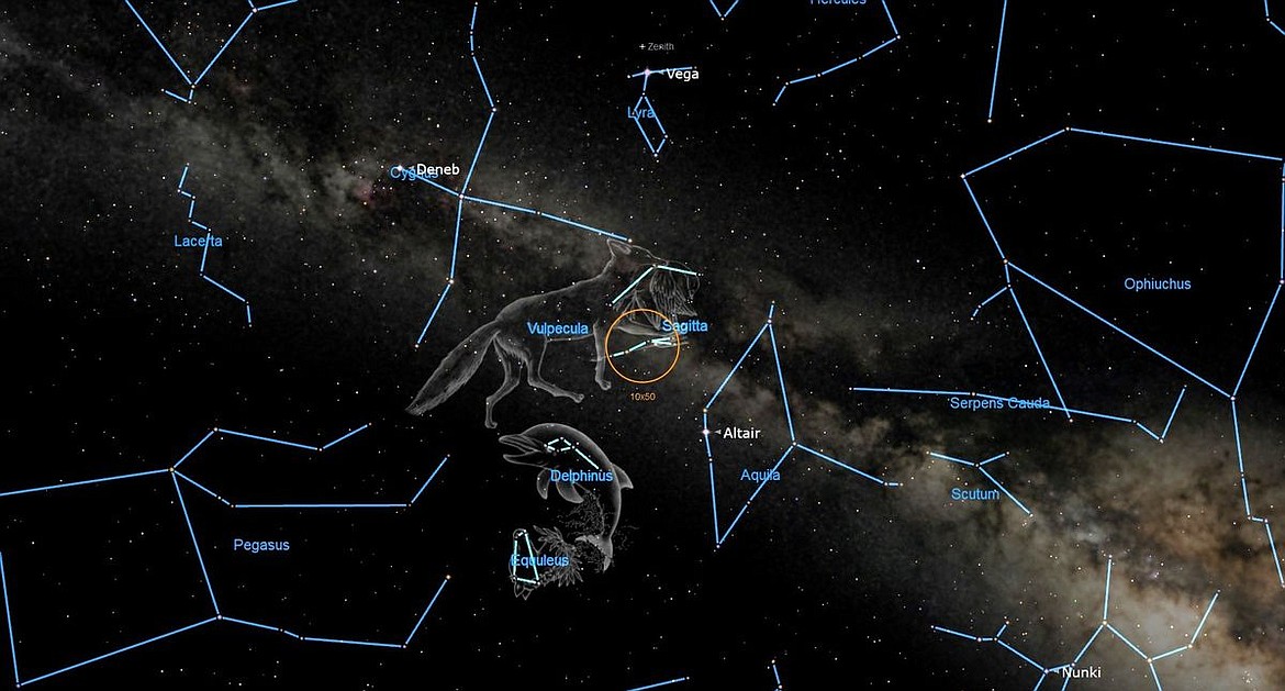 On mid-August evenings, four small constellations sit high above the southeastern sky, below the very bright star Vega.