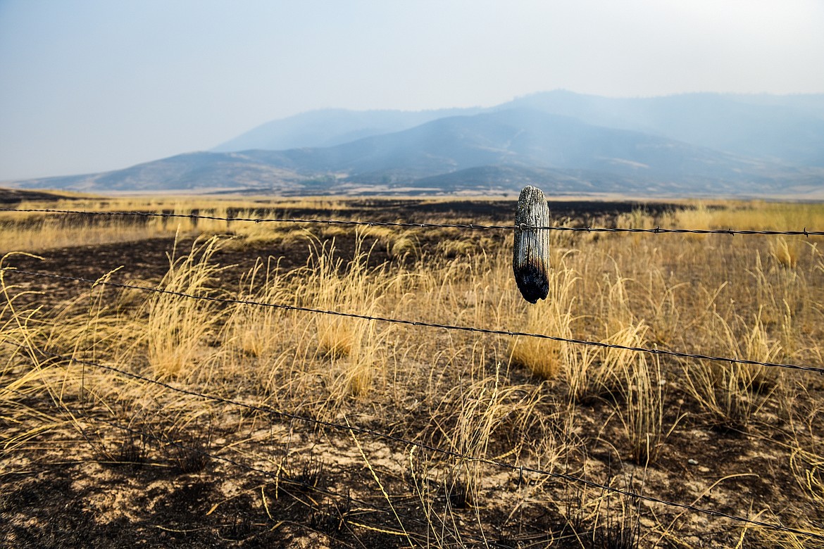 A charred post hangs from a barbed wire fence on Wednesday after the Niarade Fire burned acres of grassland north of Highway 28. (Casey Kreider/Daily Inter Lake)