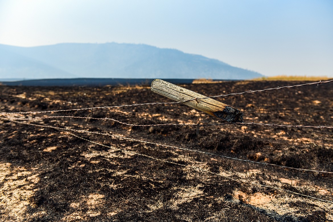 A charred post hangs from a barbed wire fence on Wednesday after the Niarada Fire burned grassland north of Highway 28. (Casey Kreider/Daily Inter Lake)