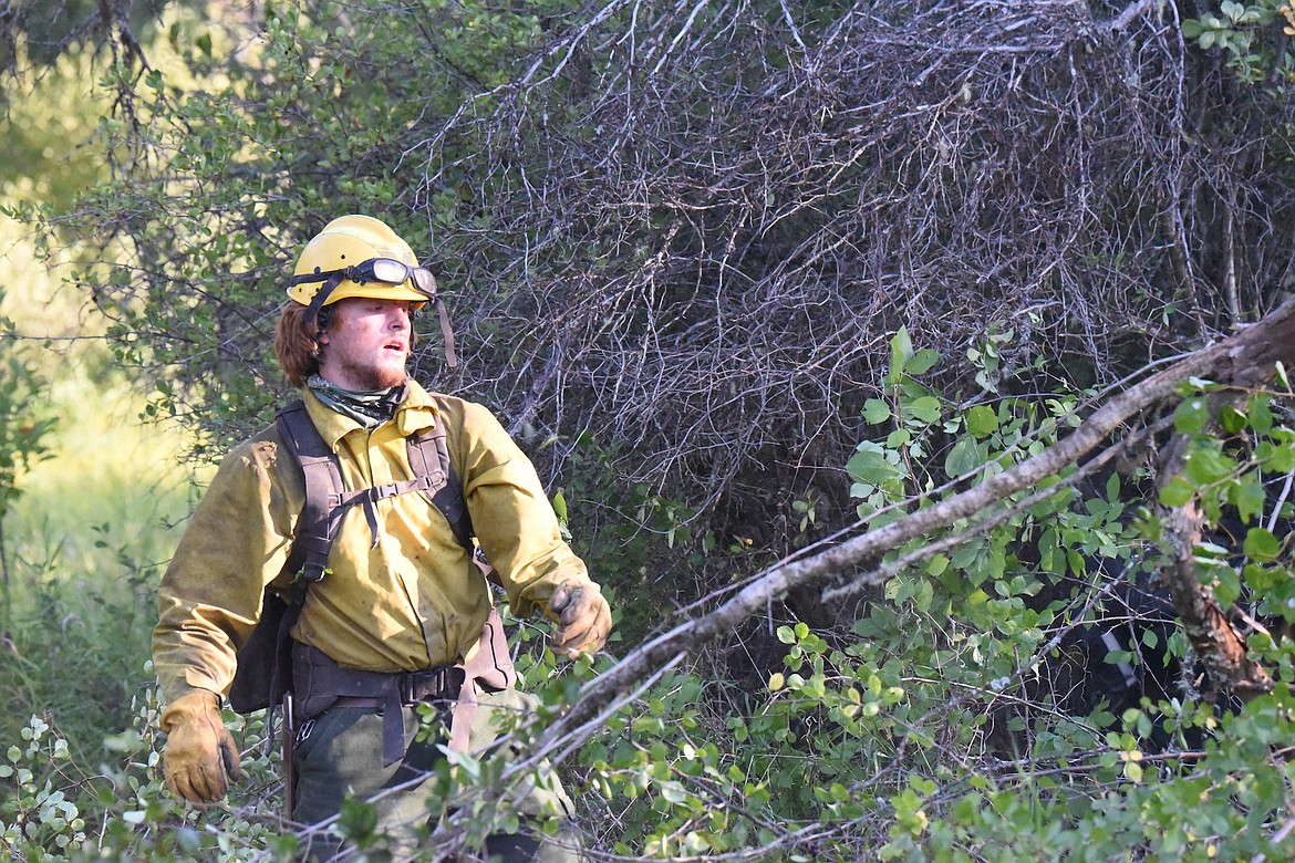 Rocky Mountain Fire Company's Jacob Marshall clears brush while building fire lines Wednesday morning with his crew members at the Gravel Pit Fire off U.S. 2 near Silver Butte Road in Lincoln County. (Scott Shindledecker/The Western News)