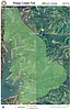 Ridge Creek Fire: Noon update from Forest Service