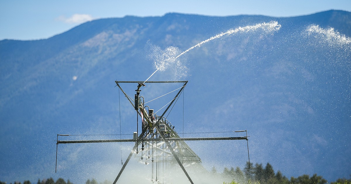 Water is the lifeblood of Montana ranching