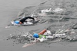 From South Africa to Poland, 628 swimmers cross the Long Bridge Swim finish line on Saturday
