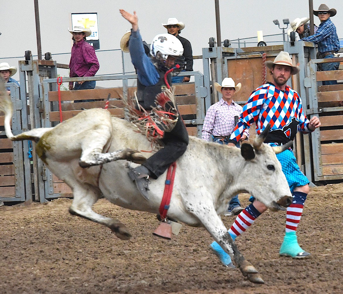 Steer riding at the Pioneer Days Bulls and Broncs Open Rodeo, which has outgrown its venue, say organizers. They hope to moved the arena to a new facility on the outskirts of Ronan. (Berl Tiskus/Leader)