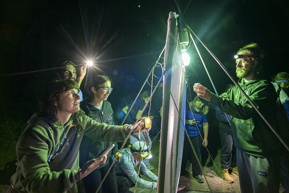 Participants in the Nocturnal Pollinator BioBlitz gather around an illuminated sheet designed to attract moths in Glacier National Park on Saturday, July 29.