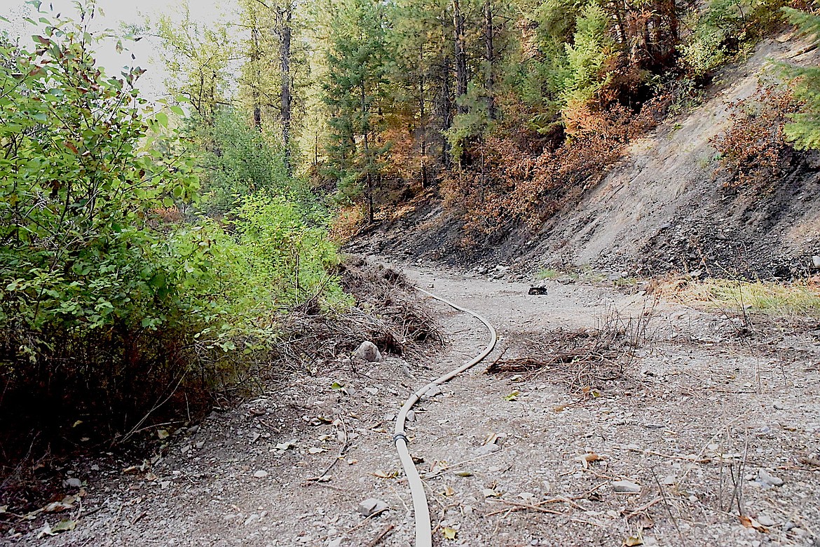 Hose lay around the perimeter of the Gravel Pit Fire just off U.S. 2. (Scott Shindledecker/The Western News)