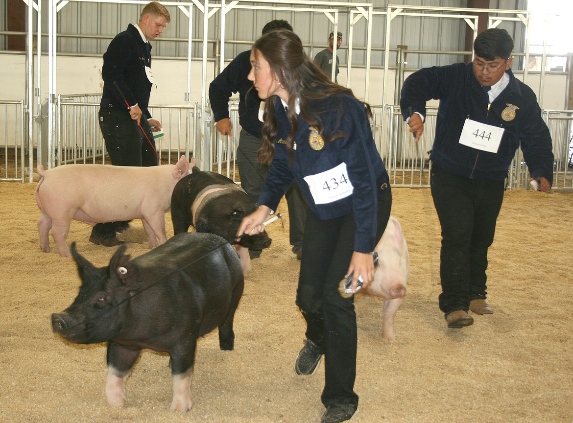 The Grant County Fair has more than 600 animals entered by grange, 4-H and Future Farmers of America youth, according to Fairgrounds Manager Jim McKiernan.