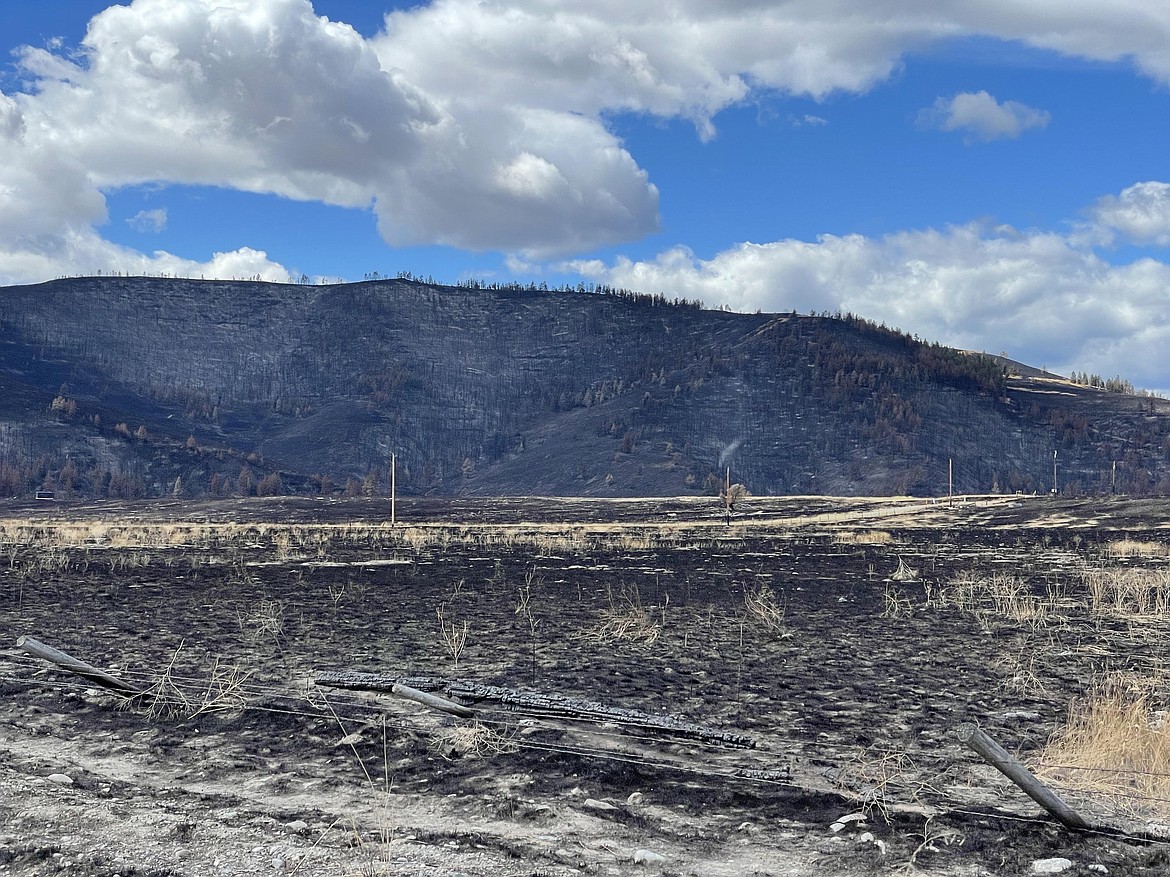 Charred grass and fencing is seen along Browns Meadow Road at the Niarada Fire west of Elmo on Aug. 10, 2023. (Matt Baldwin/Daily Inter Lake)