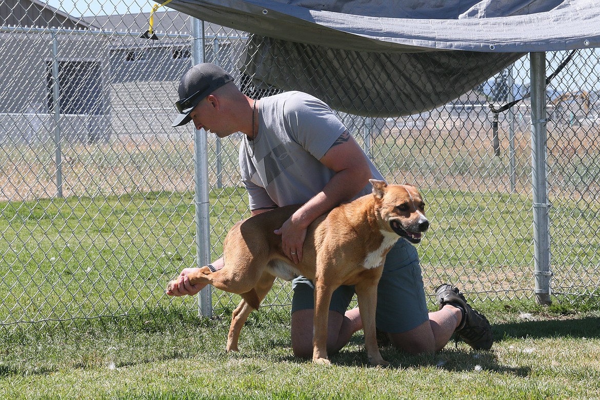 George allows dog trainer John Huss to touch his feet Friday at Companions Animal Center. A stray for four years, George has finally been captured and is in need of a loving home with attentive, patient owners.