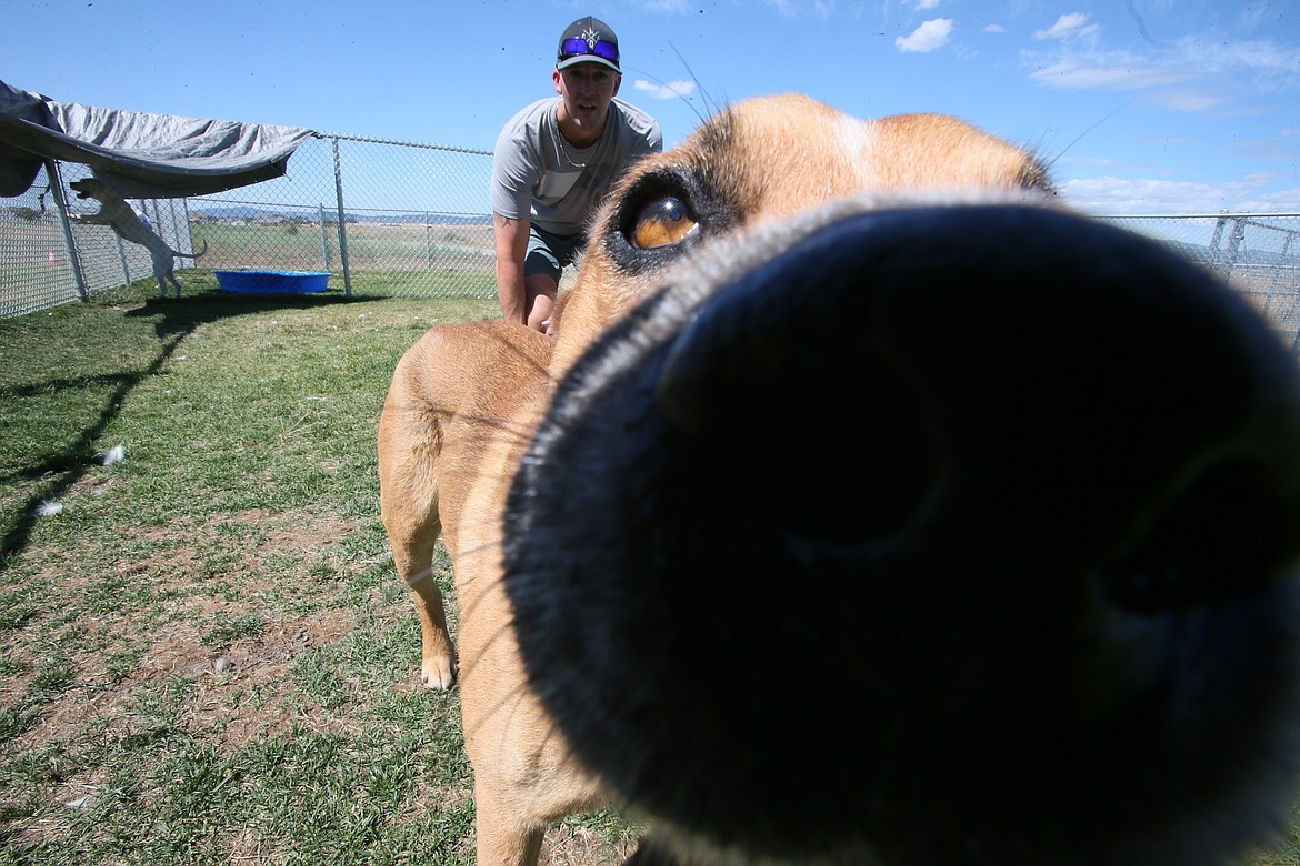 An inquisitive George pokes his nose into the camera Friday as he works with trainer John Huss.