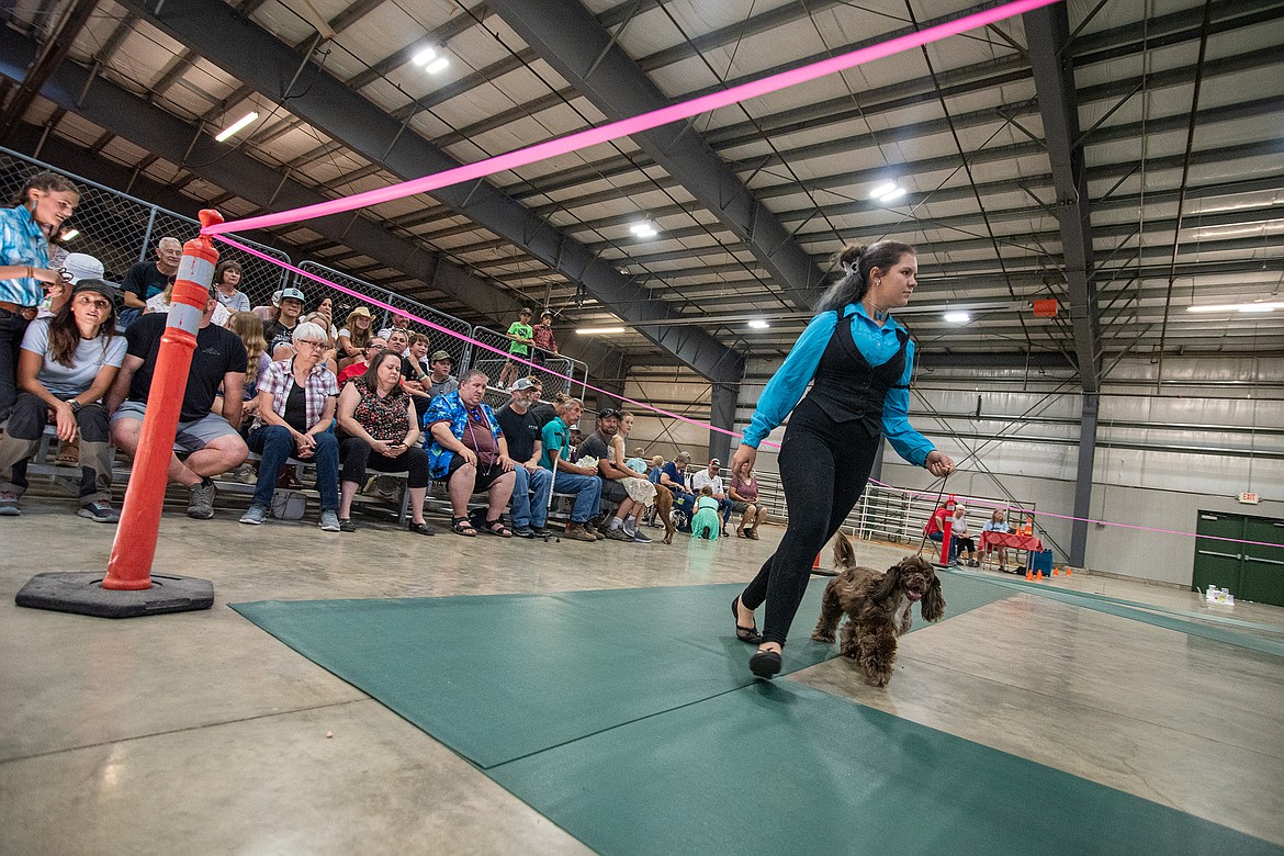 Senior grand champion of showmanship Aeris Morris leads her dog Wendigo around the ring during the 4-H Dog Show at Flathead County Fairgrounds in Kalispell on Friday, Aug. 11. (Avery Howe/Hungry Horse News)