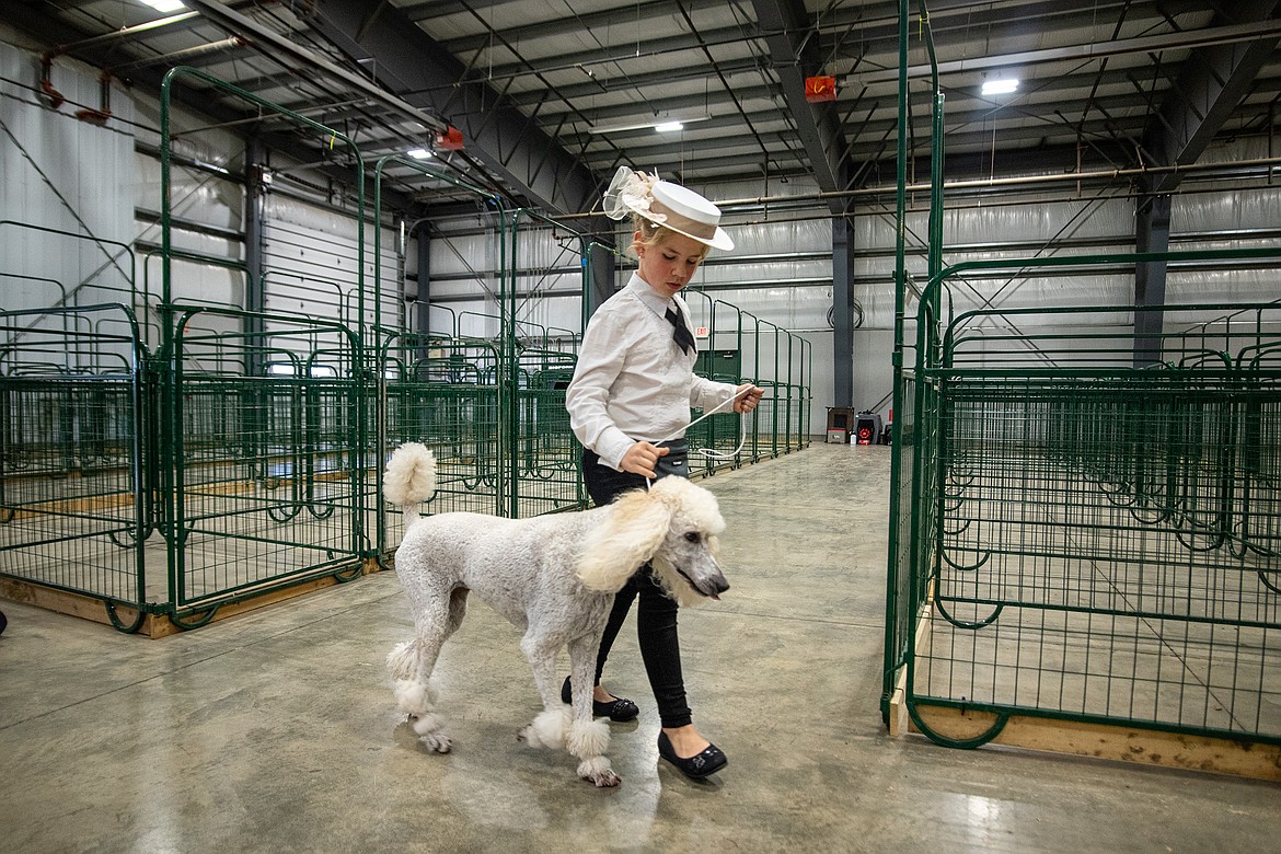 Elliana Calvi and her poodle Sunny practice before the 4-H Dog Show at at Flathead County Fairgrounds in Kalispell on Friday, Aug. 11. (Avery Howe/Hungry Horse News)