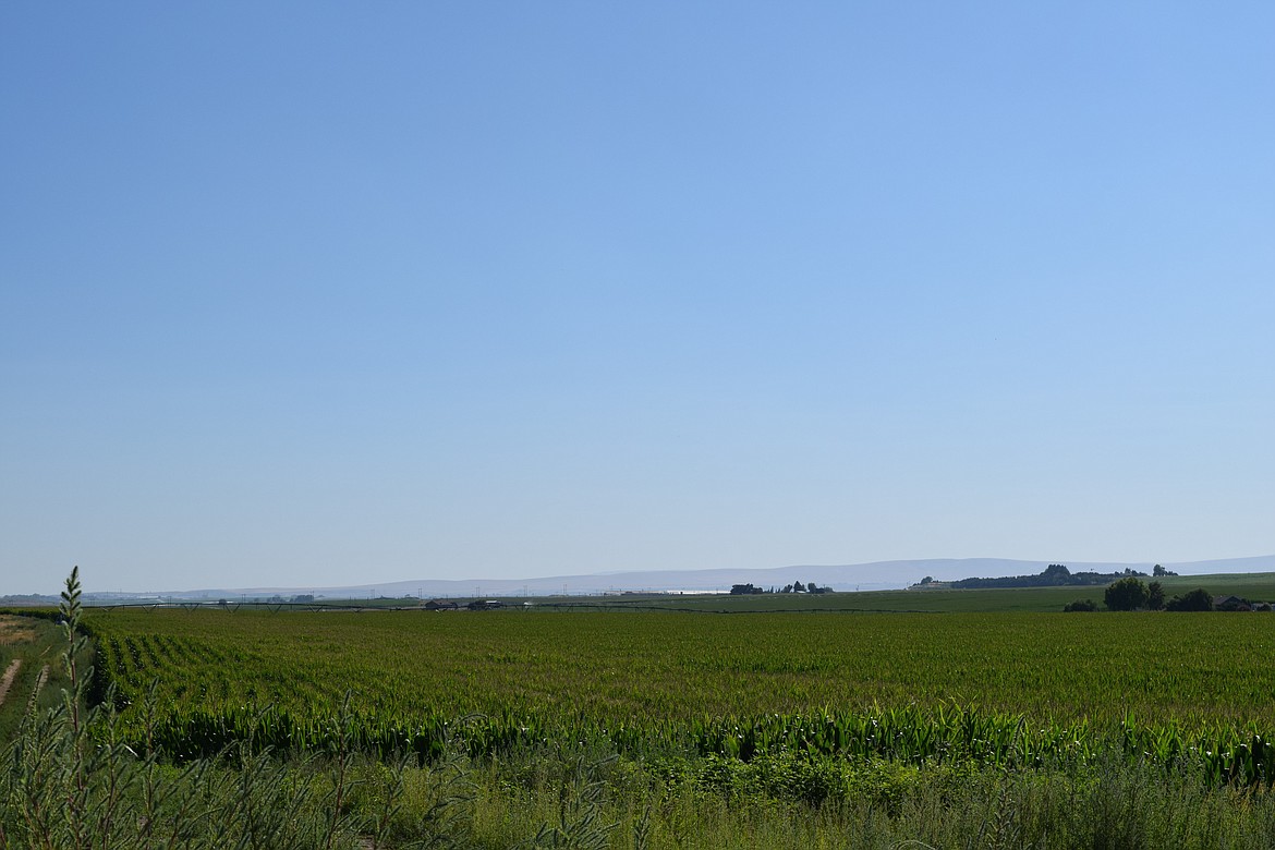 Blue skies as seen from State Route 17 near the Sage Hills Golf Club between Moses Lake and Othello. With last week’s rain, much of the Columbia Basin is a touch greener than much of the rest of the summer.