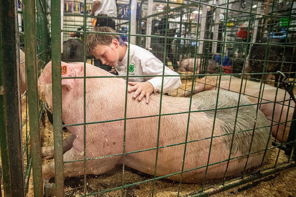 Trevalion Hagadone sits with his pig at Flathead County Fairgrounds in Kalispell on Monday, Aug. 14. (Avery Howe/Hungry Horse News)