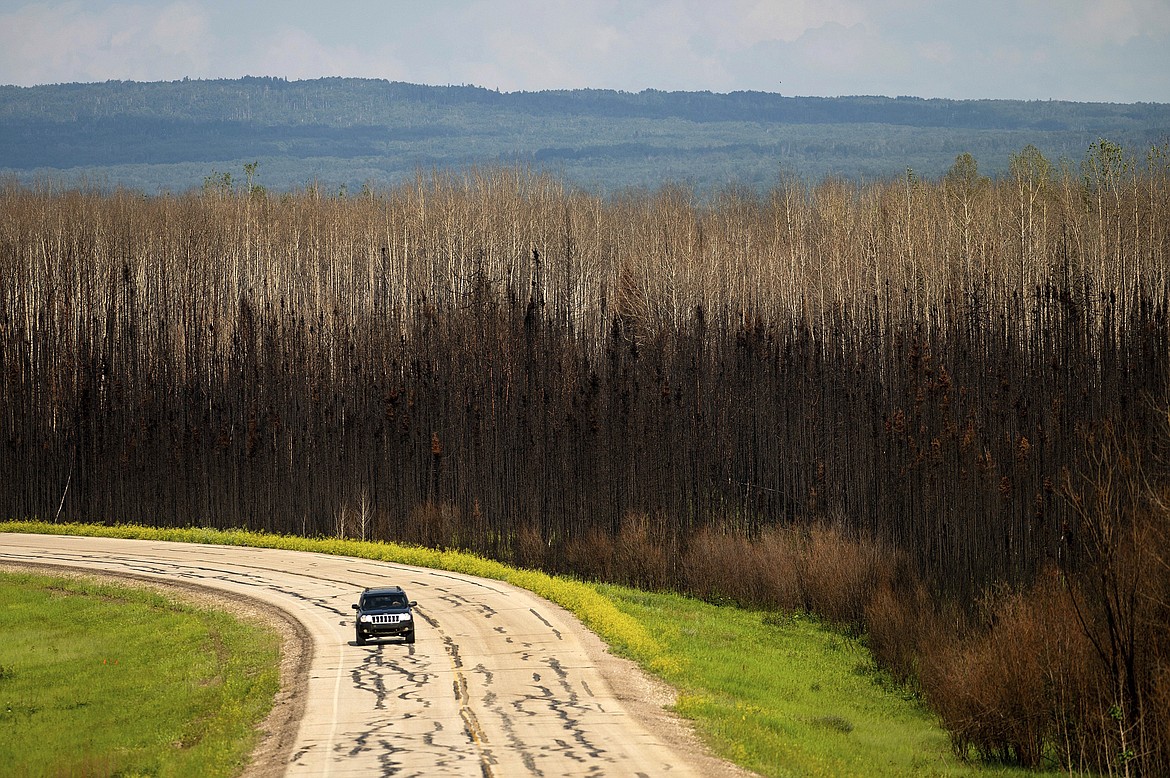 A car drives past scorched trees in the East Prairie Metis Settlement, Alberta, on July 4, 2023. Members of the Canadian Armed Forces were set to mobilize in the Northwest Territories on Tuesday, Aug. 15 as wildfires threatened communities including the territorial capital, and hundreds of people were airlifted to safety. (AP Photo/Noah Berger, file)