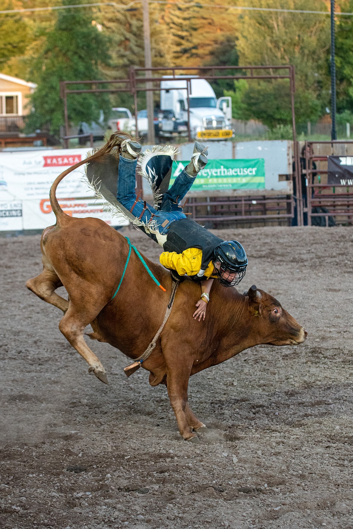 A bullrider goes airborne at the annual Bull Bash on Friday.