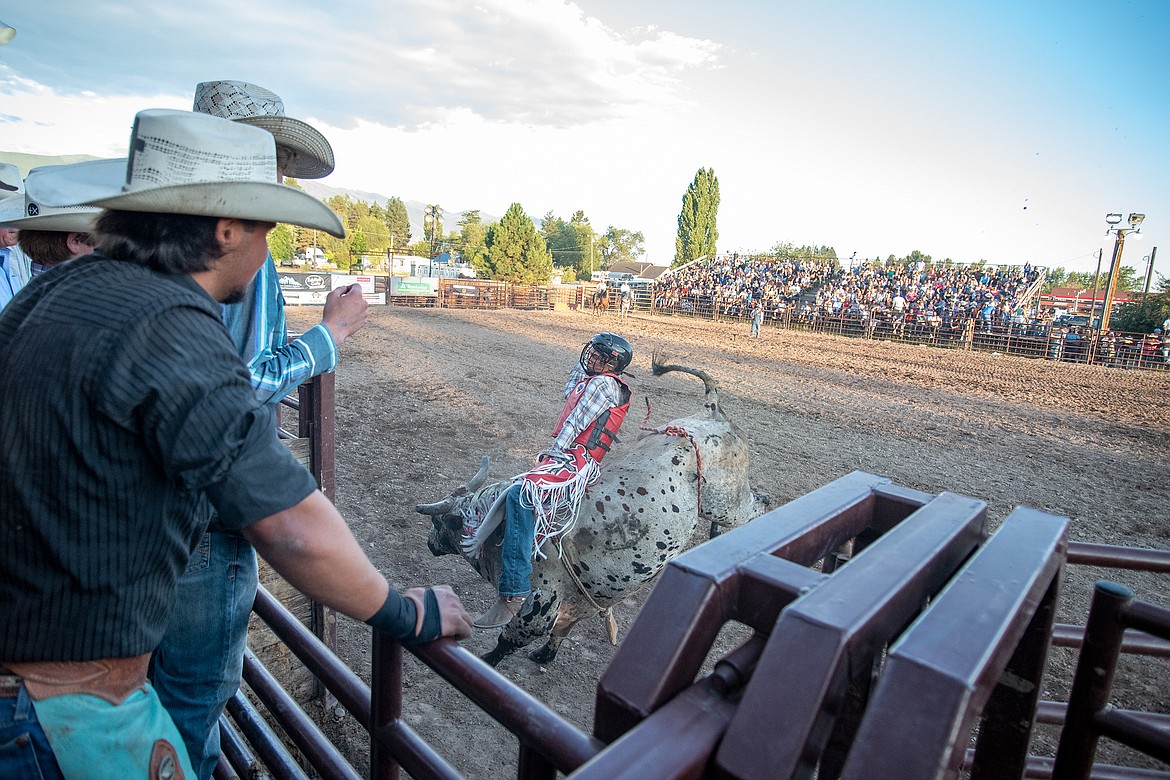 A bull tries to throw its rider right out of the chute.