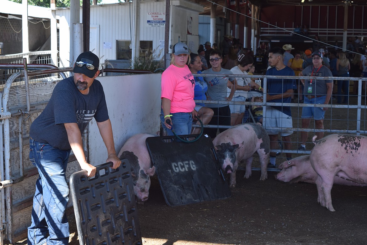 Fair participants keep pigs cool with a hose while simultaneously using plastic pallets to keep swine from fighting for attention. Temperatures were quite hight Tuesday with a high of at least 103 in Moses Lake, where the fairgrounds are located. Barns had hoses, misters and fans running in an effort to help attendees and animals stay cool in the extreme temperatures.