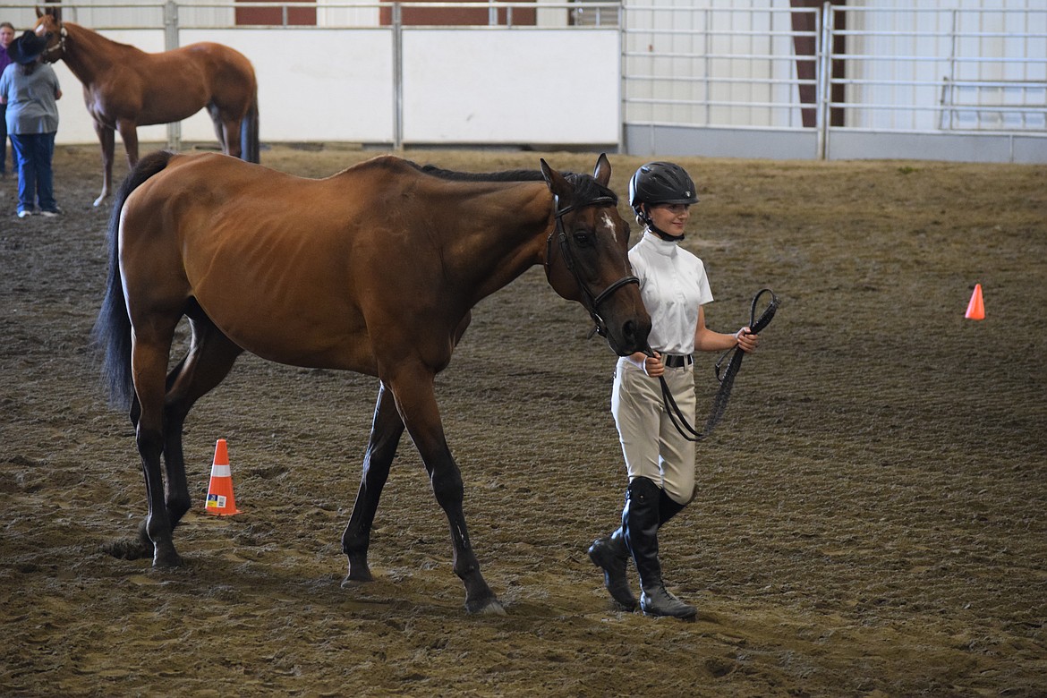 Bailey Brown strides into the showmanship competition leading her horse. Brown came in right behind the reserve grand champion for the juniors competition in Tuesday’s horsemanship contest at the Grant County Fair.