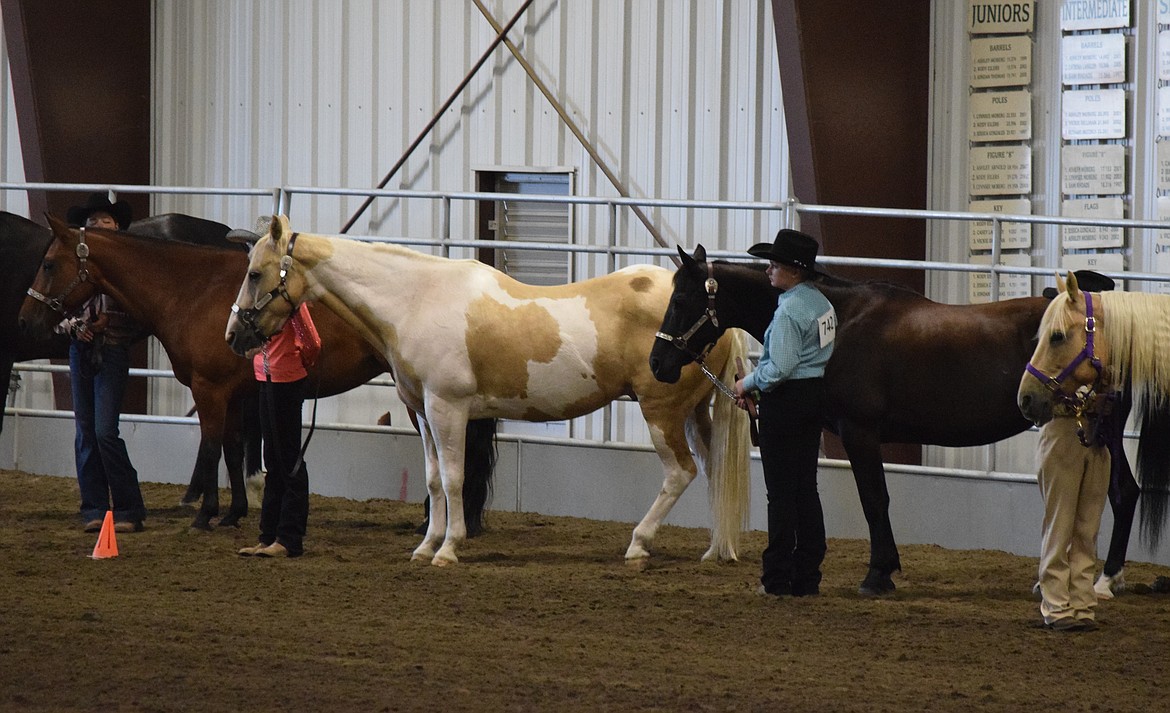 Members of the juniors heat of the competition wait with their horses lined up for scores to be tallied. Boys and girls both led horses through the horsemanship event with varying degrees of success, but consistently with appreciation and care for their animals.