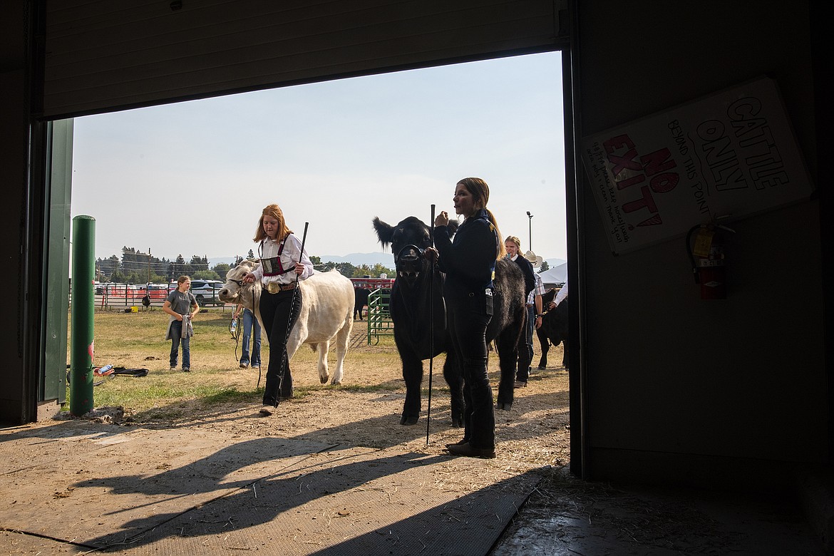 Competitors await a beef showmanship round outside the Trade Center at Flathead County Fairgrounds on Wednesday, Aug. 16. (Avery Howe/Hungry Horse News)