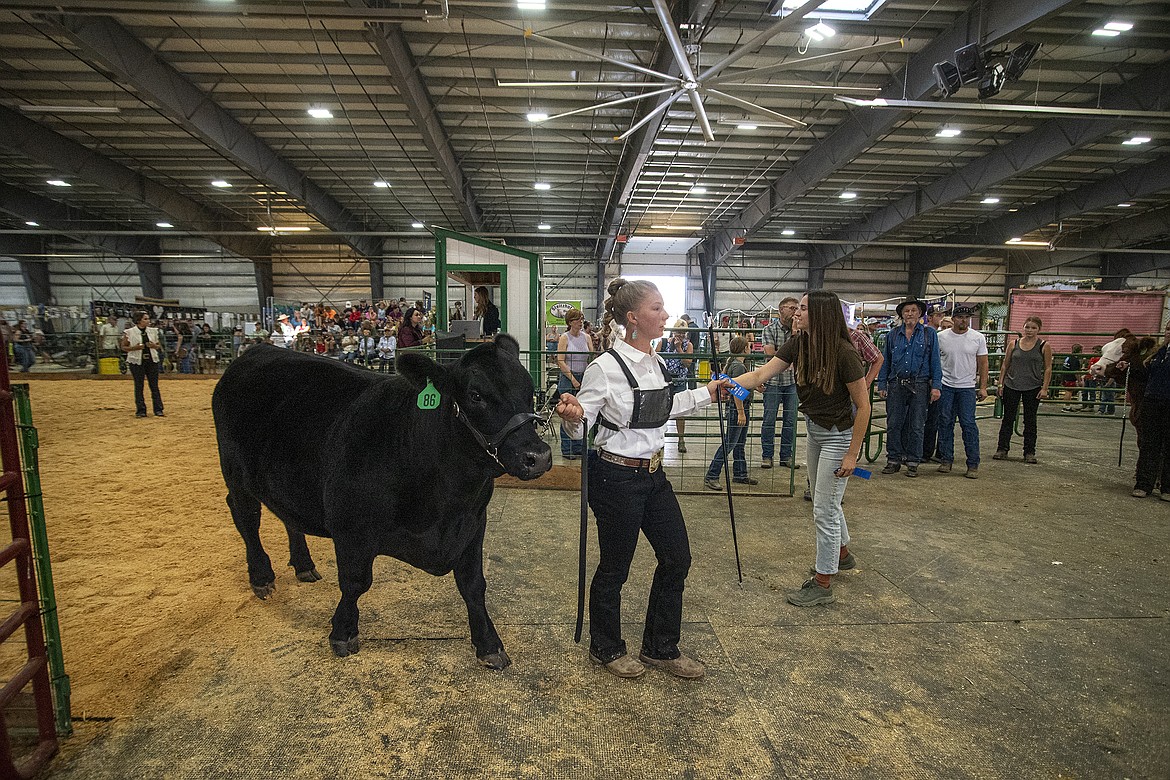 Ione Plummer picks up a blue ribbon on her way out of the show ring at Flathead County Fairgrounds on Wednesday, Aug. 16. (Avery Howe/Hungry Horse News)