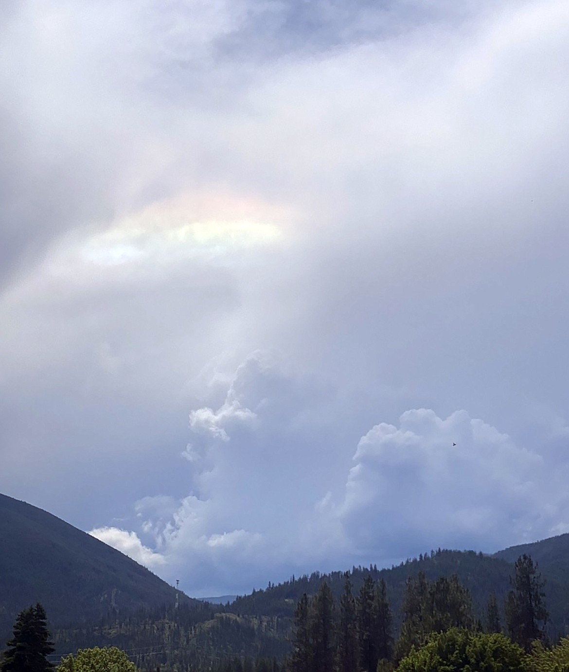 This Best Shot of an "eye in the sky" was taken by Rayna Allen in the Trout Creek, Mont., area recently. If you have a photo that you took that you would like to see run as a Best Shot or I Took The Bee send it to the Bonner County Daily Bee, P.O. Box 159, Sandpoint, Idaho, 83864; or drop them off at 310 Church St., Sandpoint. You may also email your pictures in to the Bonner County Daily Bee along with your name, caption information, hometown and phone number to news@bonnercountydailybee.com.