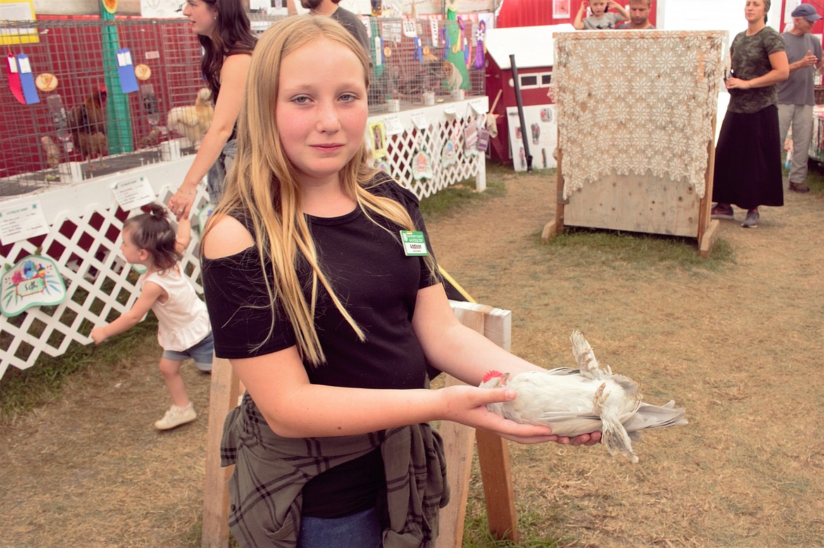 Addison a 4H member holds holds her Porcelain d'Uccles chicken at the Chicken House during the Boundary County Fair.