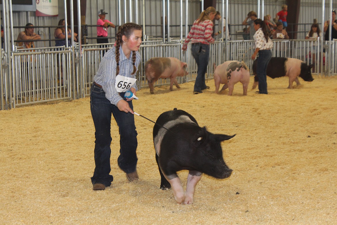 4-H competitors in the ring during Grant County Fair market competition.