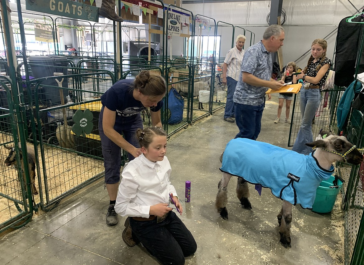 Tess Brist pins a competition number on her daughter, Naomi Brist, in preparation for the junior division of the sheep showmanship competition at the Northwest Montana Fair Tuesday, Aug. 15, 2023. (Hilary Matheson/Daily Inter Lake)