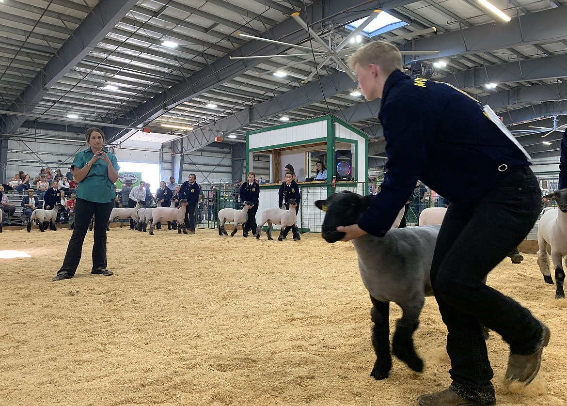 Sheep showmanship judge Mari Morris watches senior division competitors loop their animals around the ring at the Northwest Montana Fair Tuesday, Aug. 16, 2023. (Hilary Matheson/Daily Inter Lake)