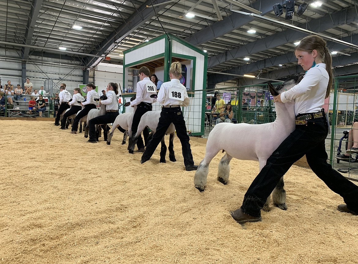 Sheep showmanship junior division grand champion Halsey Middlemist braces against her lamb in the show ring Tuesday, Aug. 15, 2023, at the Northwest Montana Fair. (Hilary Matheson/Daily Inter Lake)