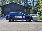 Police chief placed on leave