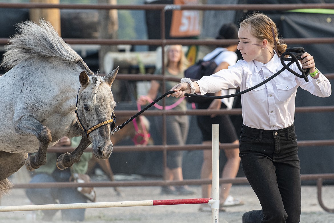 Jenna Piliey leads her horse through a jump during the Miniature Horse Show at Flathead County Fairgrounds on Thursday, Aug. 17. (Avery Howe/Hungry Horse News)