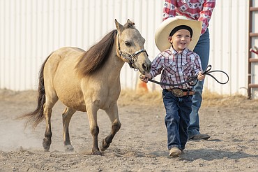 Wayson White brings his miniature horse to a trot for the judge during the Miniature Horse Show at Flathead County Fairgrounds on Thursday, Aug. 17. (Avery Howe/Hungry Horse News)