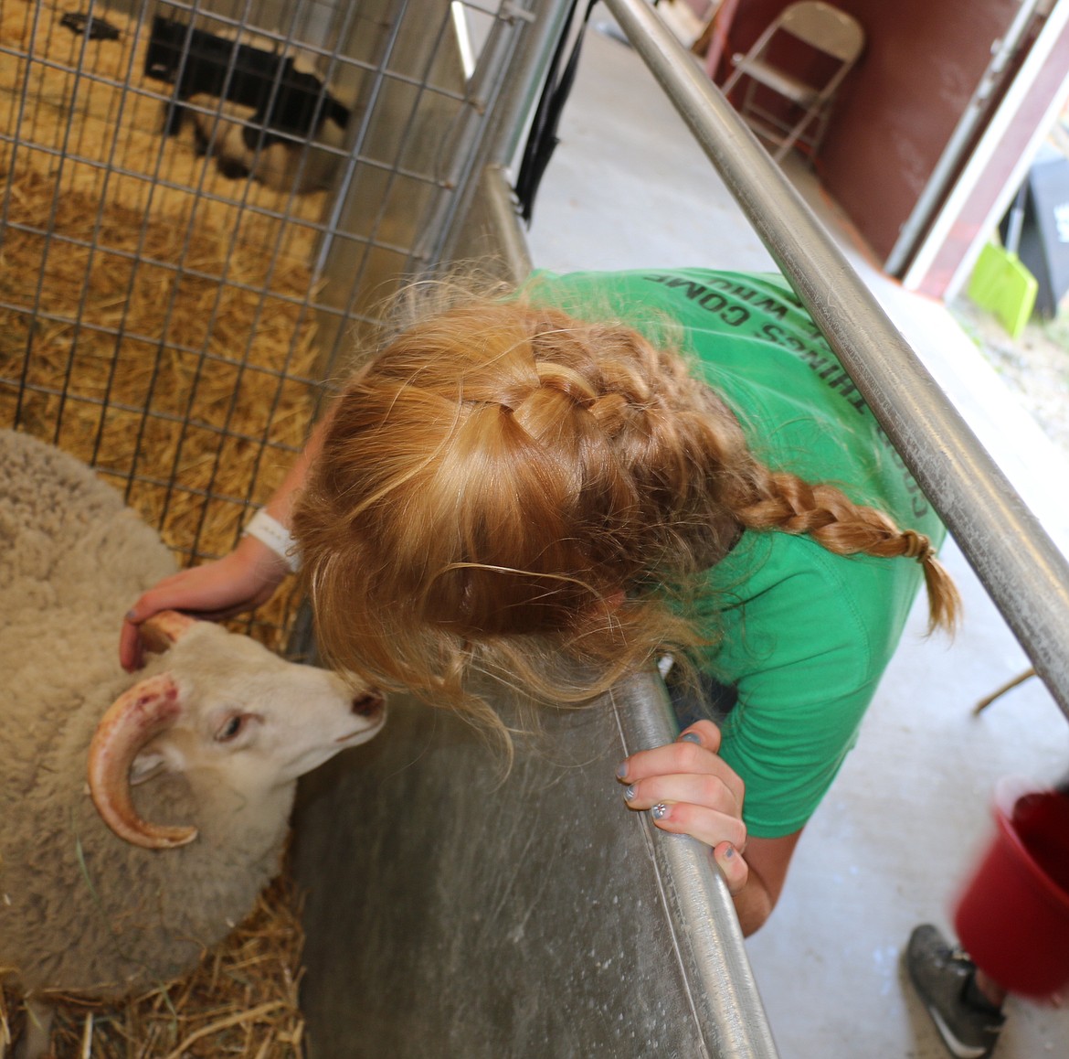 A fair participant reaches down to pet her goat as she takes part in the Bonner County Fair on Wednesday.