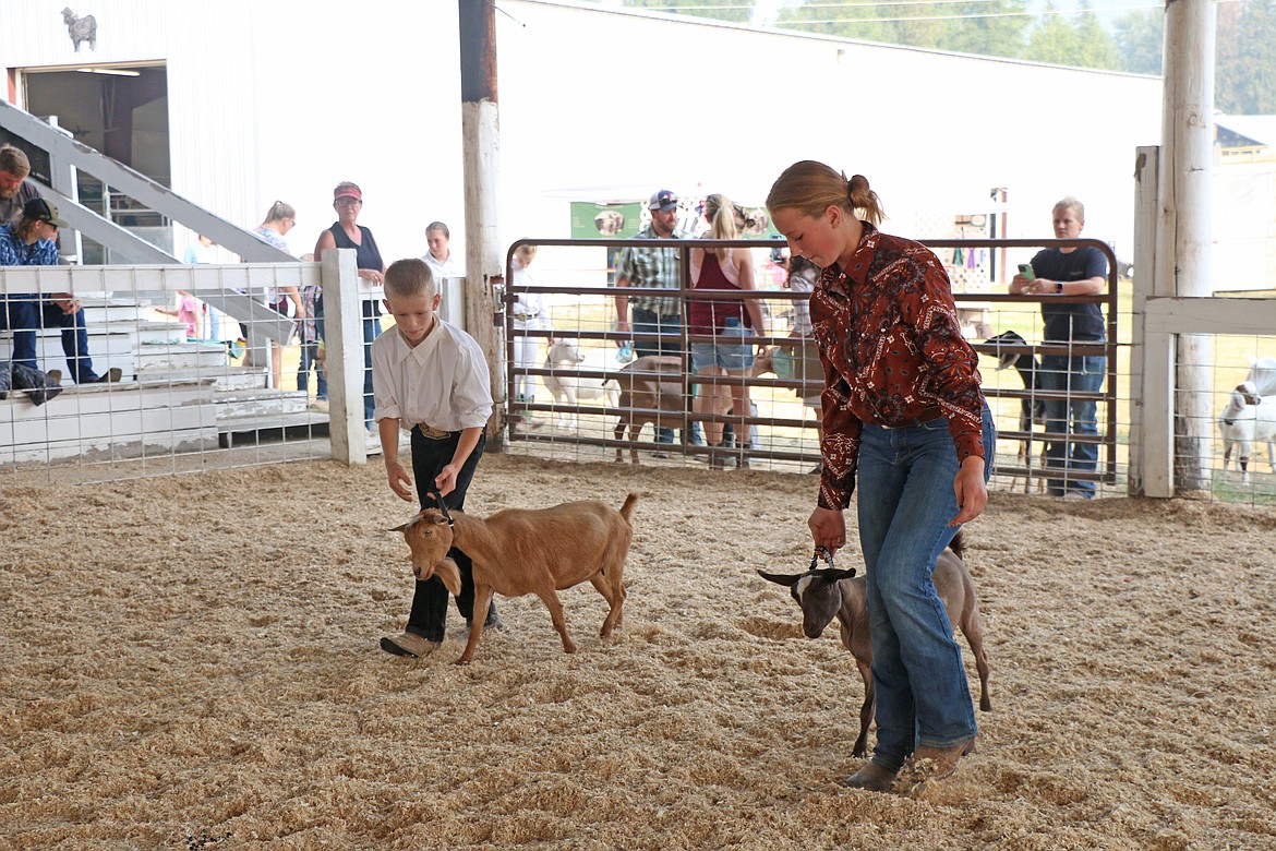 A pair of Bonner County Fair participants show their goats at a competition on Thursday.